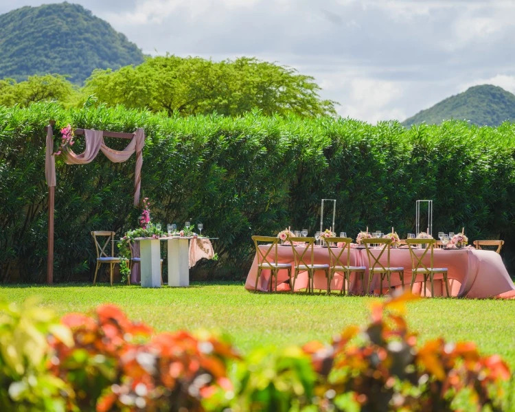 a table set up in a garden