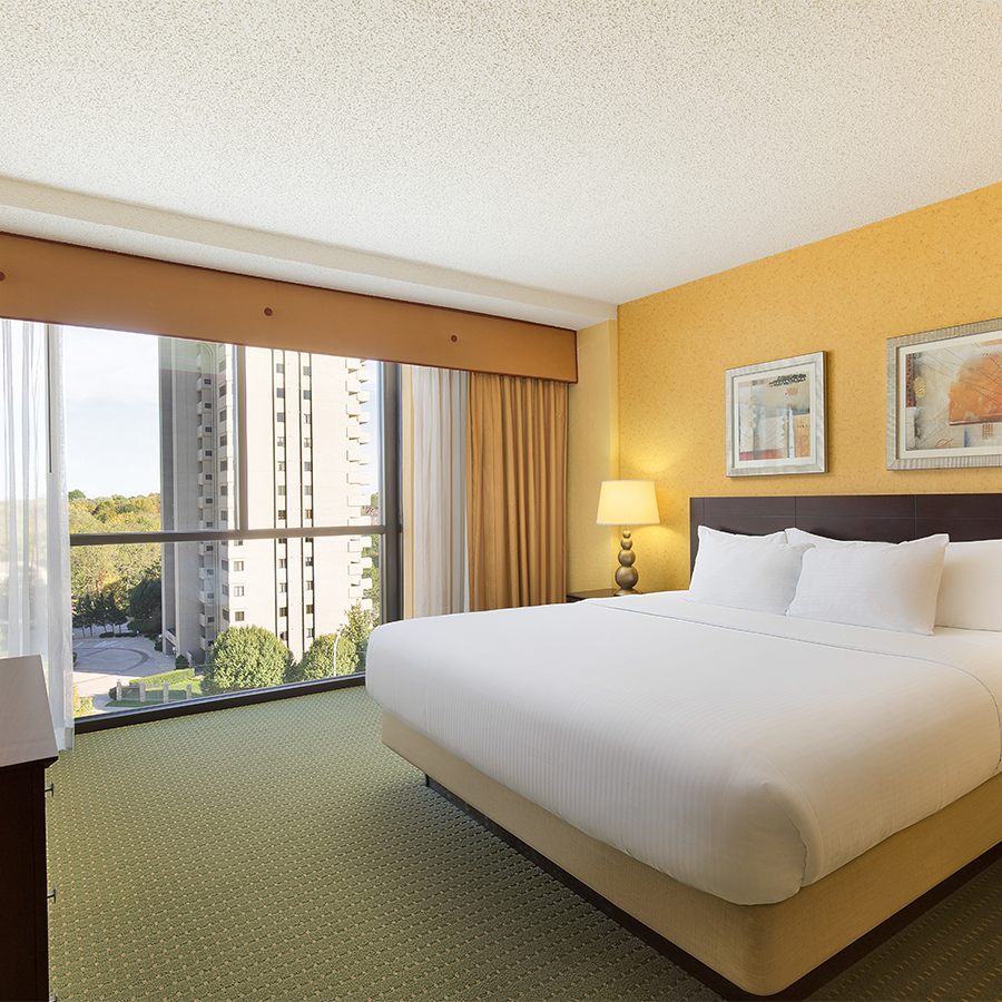 a hotel room with a large bed and a window