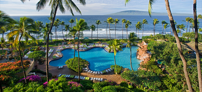 a swimming pool with palm trees and a body of water