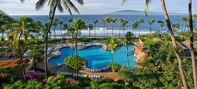 a swimming pool with palm trees and a body of water