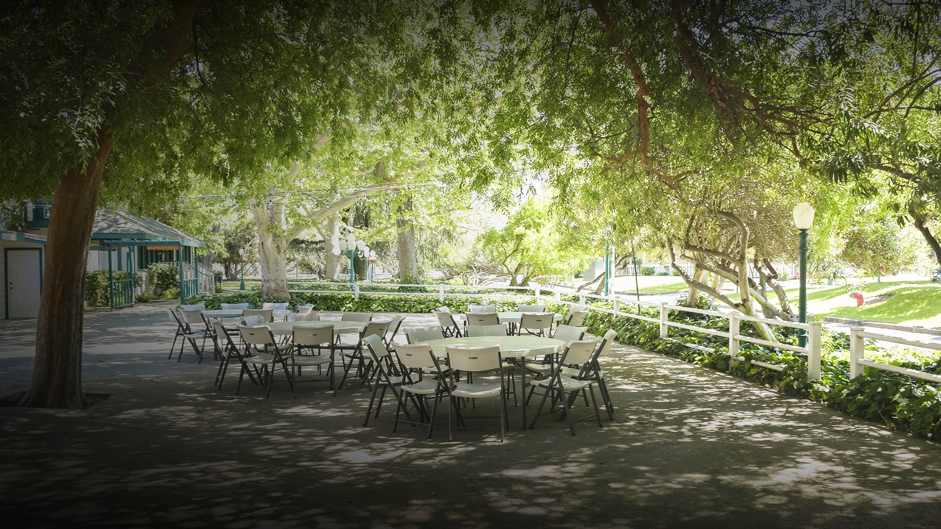 a group of tables and chairs under a tree