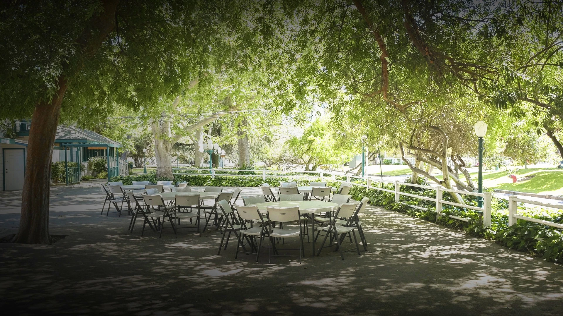 a group of tables and chairs under a tree