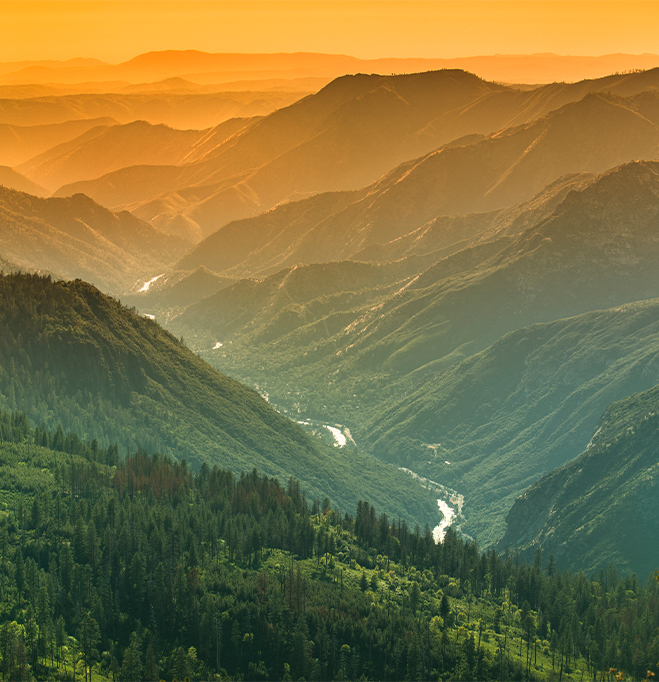 a valley with trees and mountains