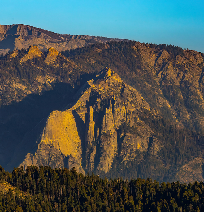 a mountain range with trees